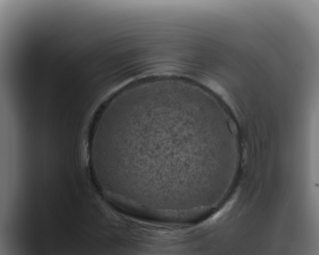 X0000089690973200706281413