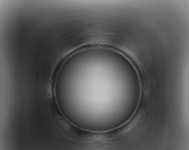 X0000089690974200706281413