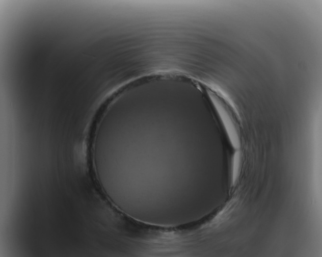 X0000089690975200706281413