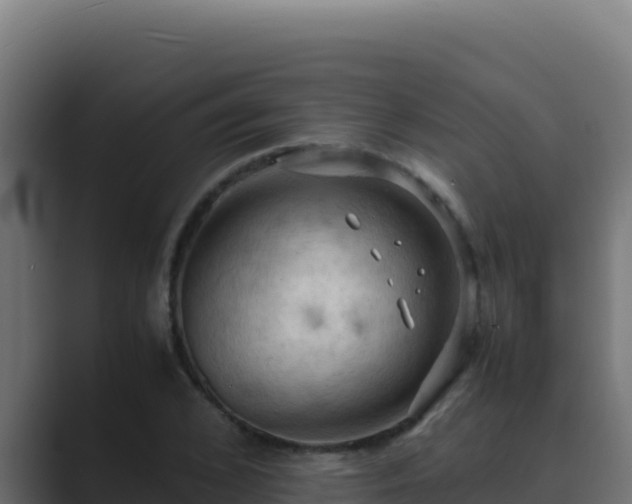 X0000089690976200706281413