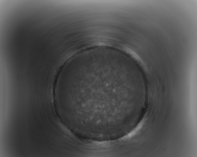 X0000089690977200706281413