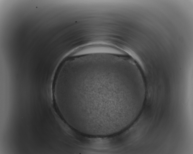 X0000089690980200706281412