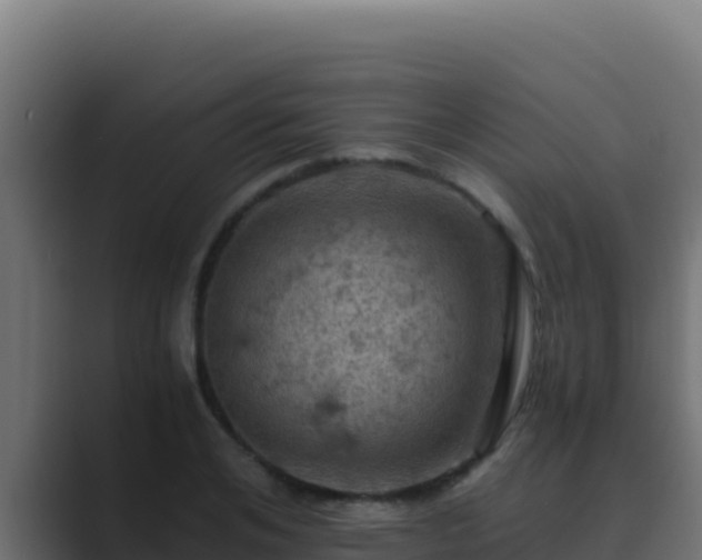 X0000089690984200706281412