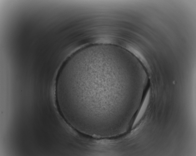 X0000089690992200706281412