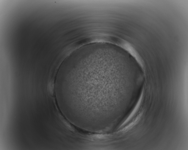 X0000089690993200706281412