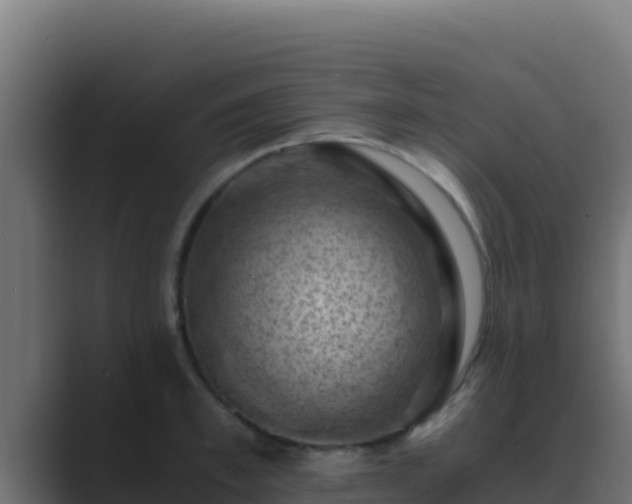 X0000089690997200706281412