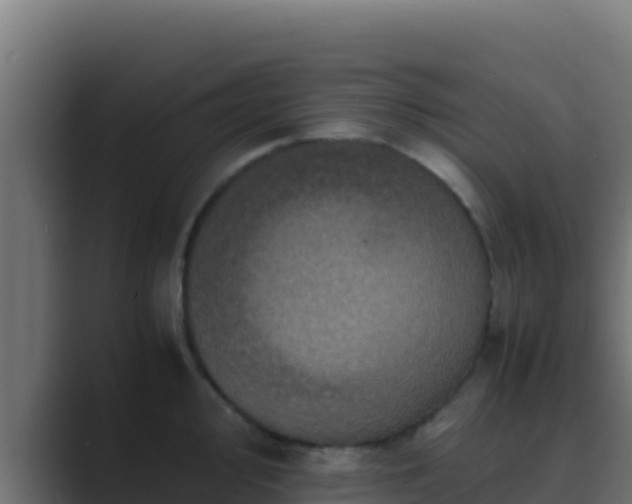 X0000089691000200706281412