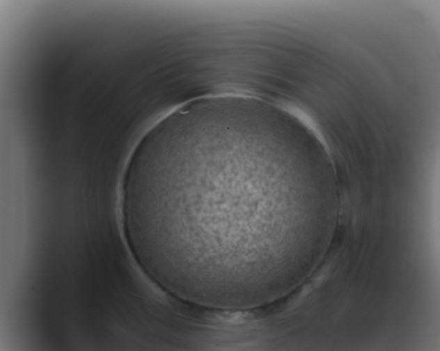 X0000089691003200706281412