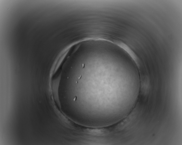 X0000089691004200706281412