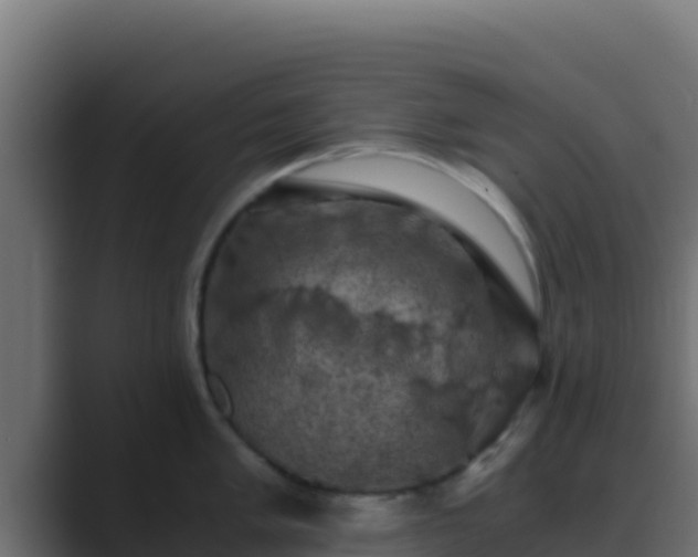 X0000089691005200706281412