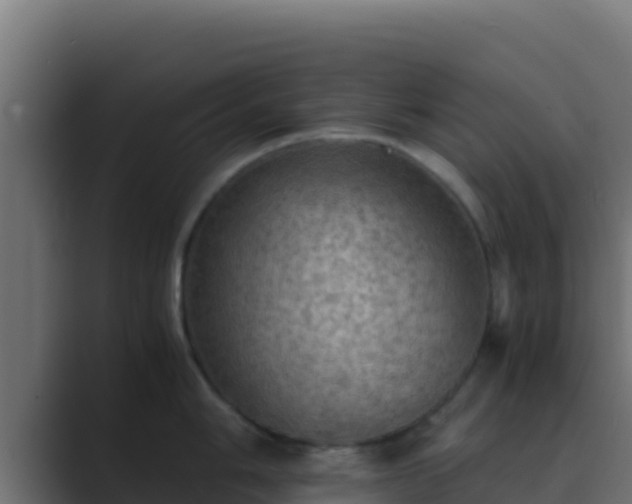 X0000089691006200706281412