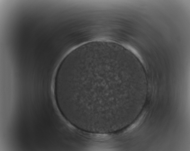 X0000089691007200706281412