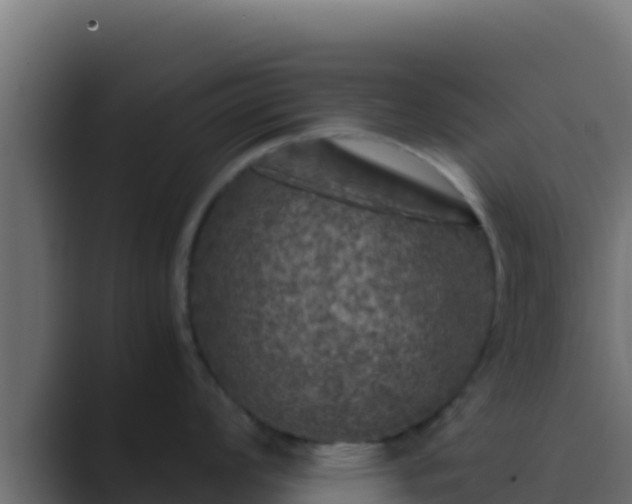 X0000089691008200706281412