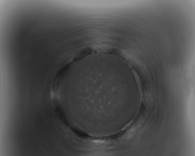 X0000089691010200706281412