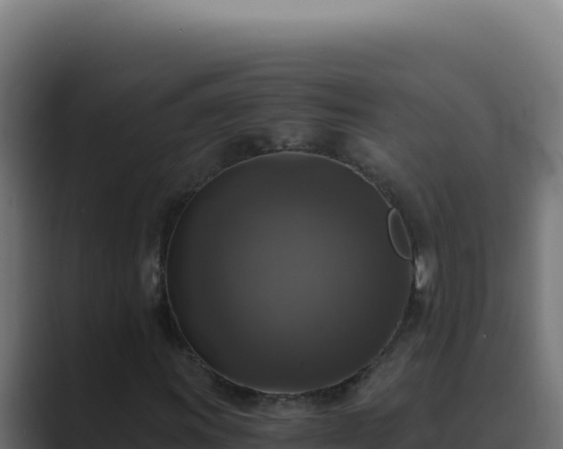 X0000089691011200706281412