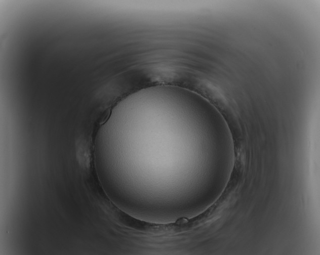 X0000089691012200706281412