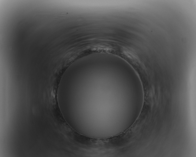 X0000089691013200706281412