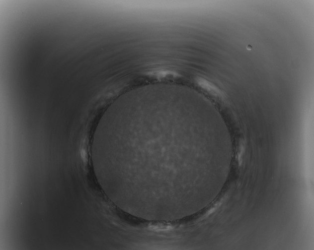 X0000089691014200706281412