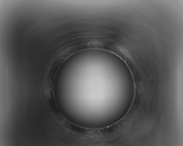 X0000089691015200706281412