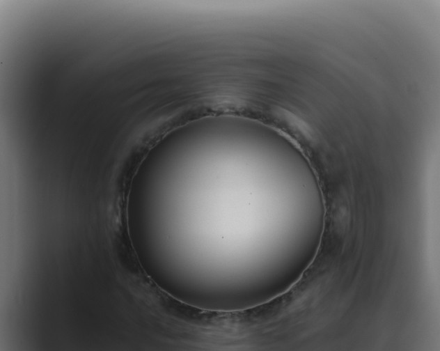 X0000089691016200706281412