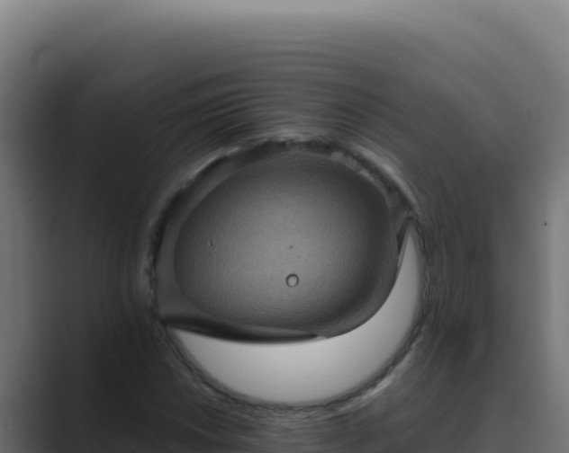 X0000089691018200706281412