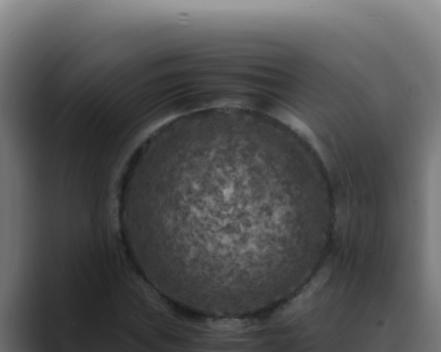 X0000089691019200706281412