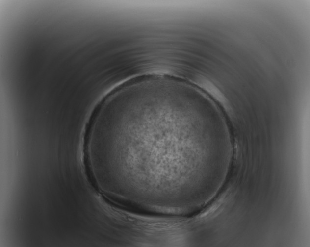 X0000089691020200706281412