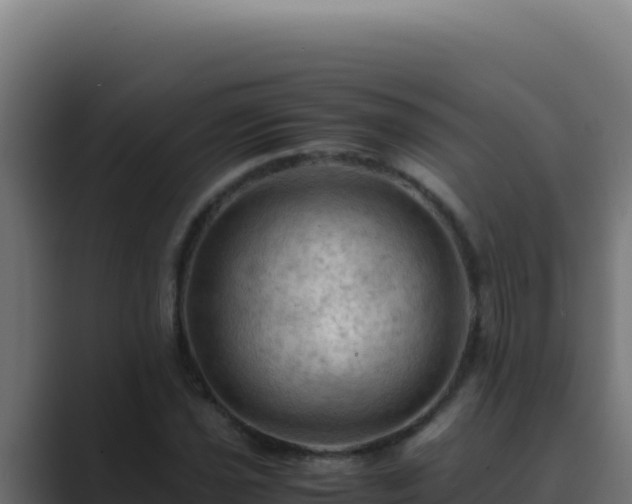 X0000089691021200706281412