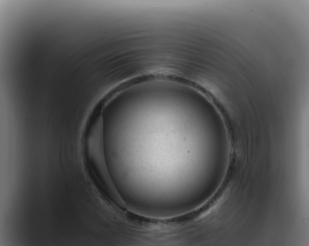 X0000089691022200706281412