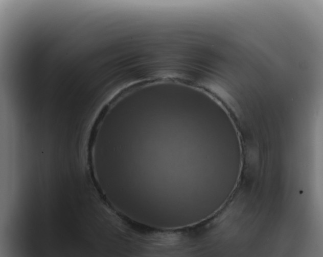 X0000089691023200706281412