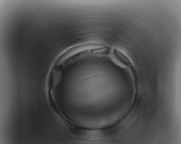 X0000089691024200706281412