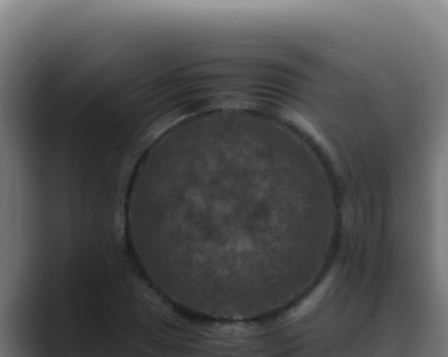 X0000089691025200706281412