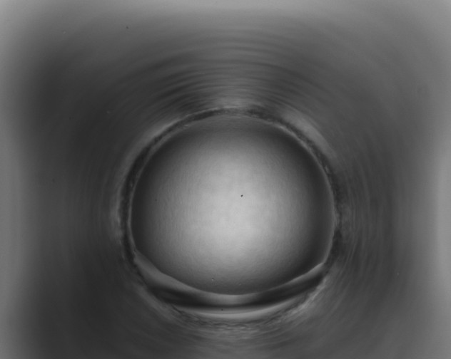 X0000089691026200706281412