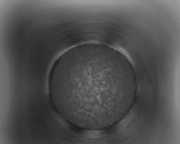 X0000089691027200706281412