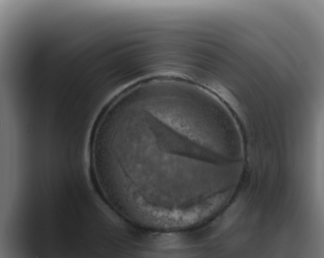 X0000089691028200706281412