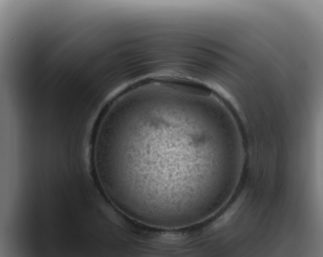 X0000089691029200706281412