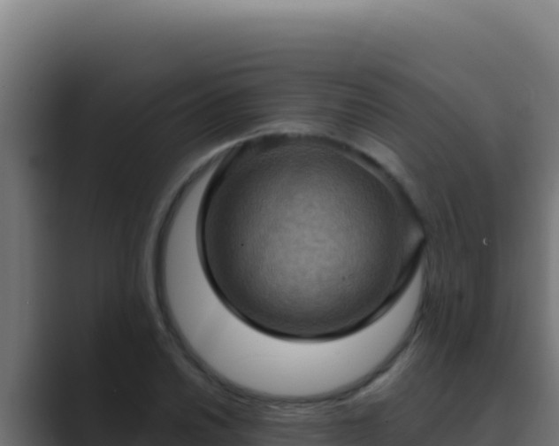 X0000089691030200706281412