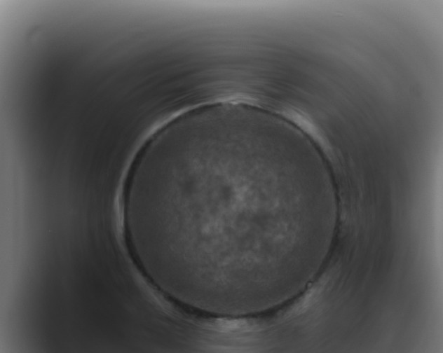 X0000089691032200706281412