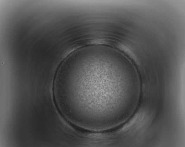 X0000089691033200706281412