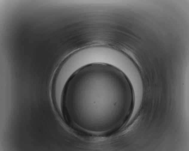 X0000089691034200706281412