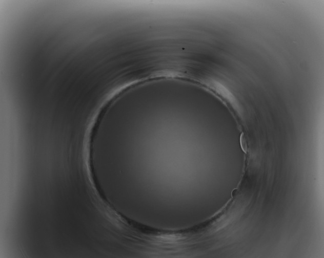 X0000089691035200706281412