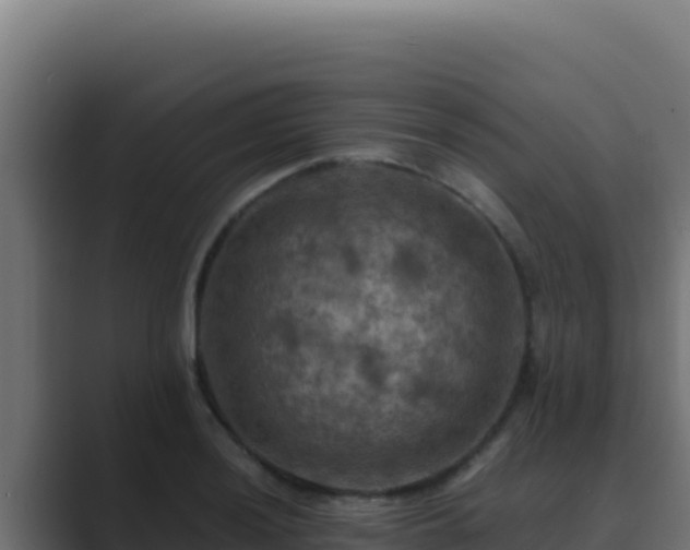 X0000089691036200706281412