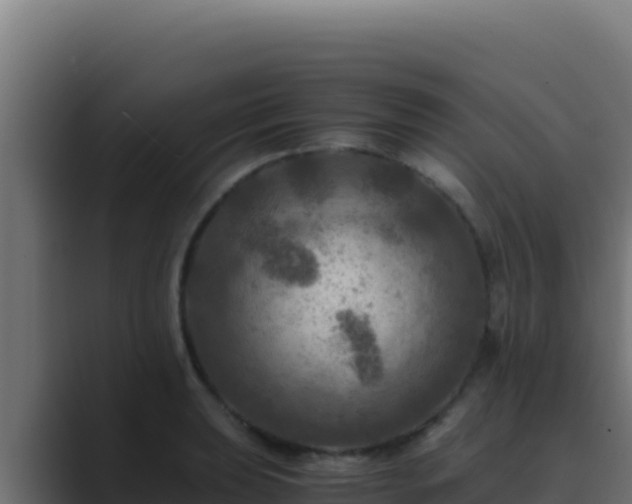 X0000089691039200706281412