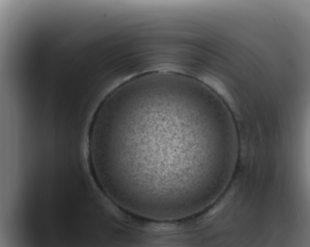 X0000089691040200706281412