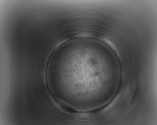 X0000089691041200706281412