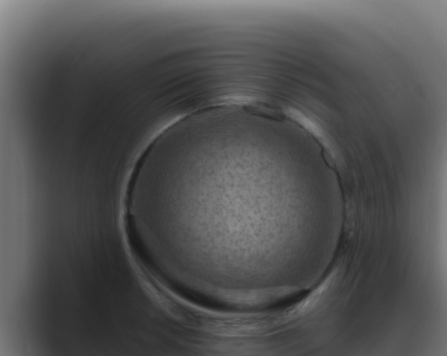 X0000089691042200706281412