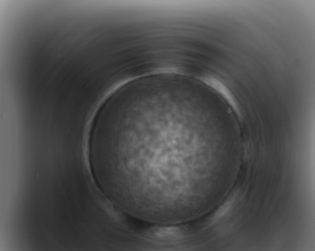 X0000089691043200706281412