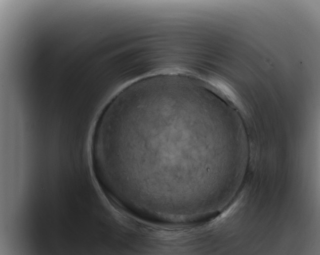 X0000089691046200706281412