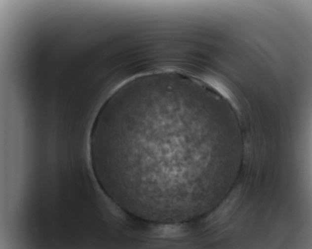 X0000089691047200706281412