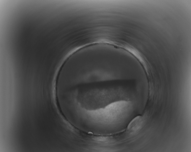 X0000089691048200706281412